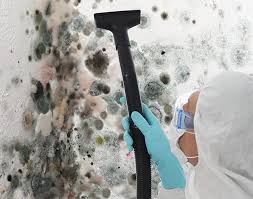 Mold Odor Removal Services in Smithfield, VA